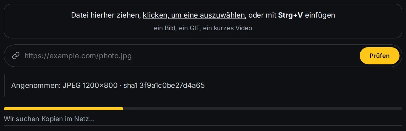 Der Fortschrittsbalken während der Prüfung