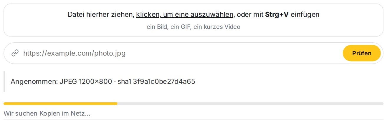 Der Fortschrittsbalken während der Prüfung
