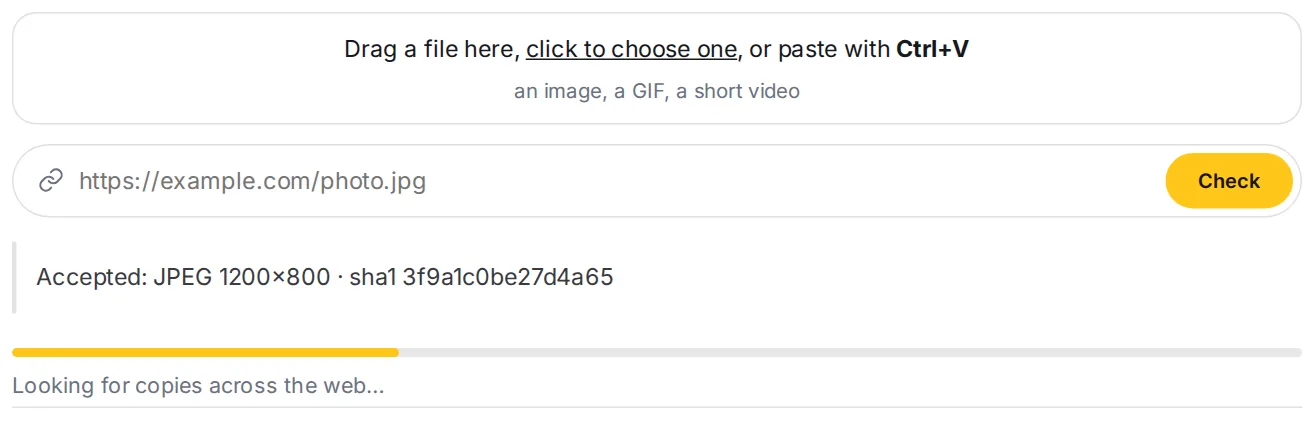 The progress bar while a picture is being checked