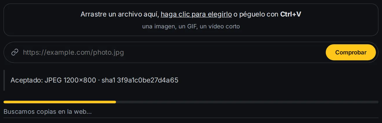 La barra de progreso durante la comprobación