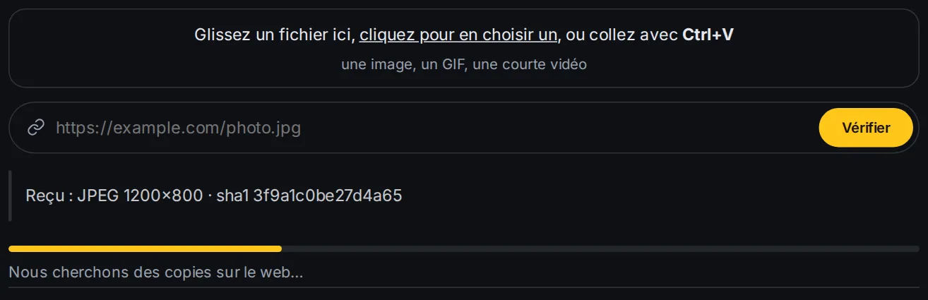 La barre de progression pendant la vérification