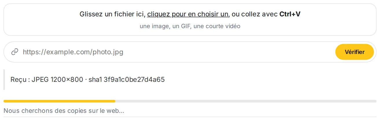 La barre de progression pendant la vérification