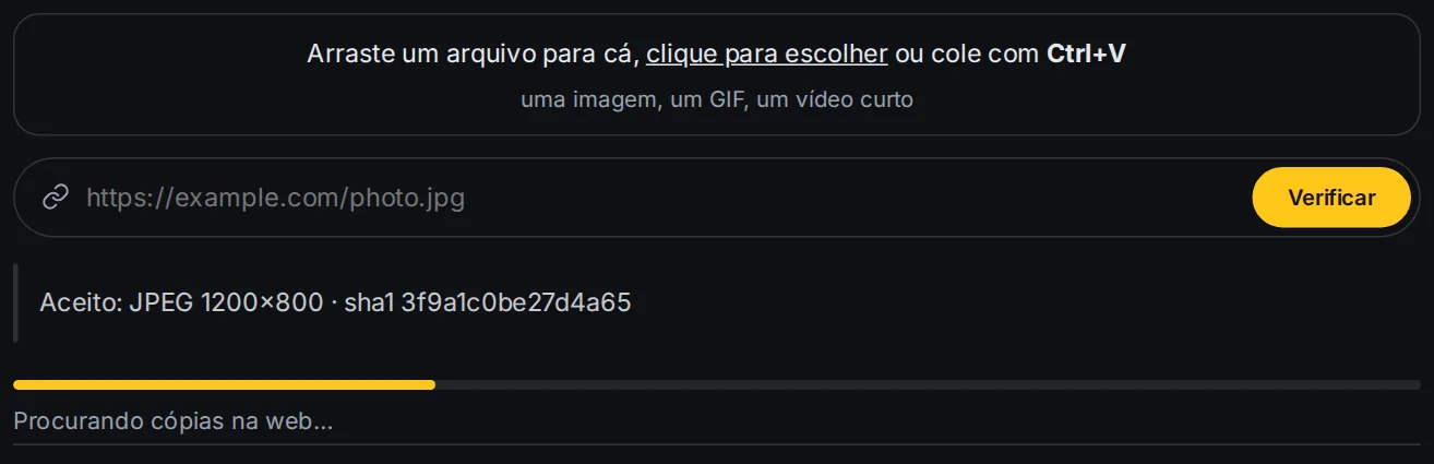A barra de progresso durante a verificação
