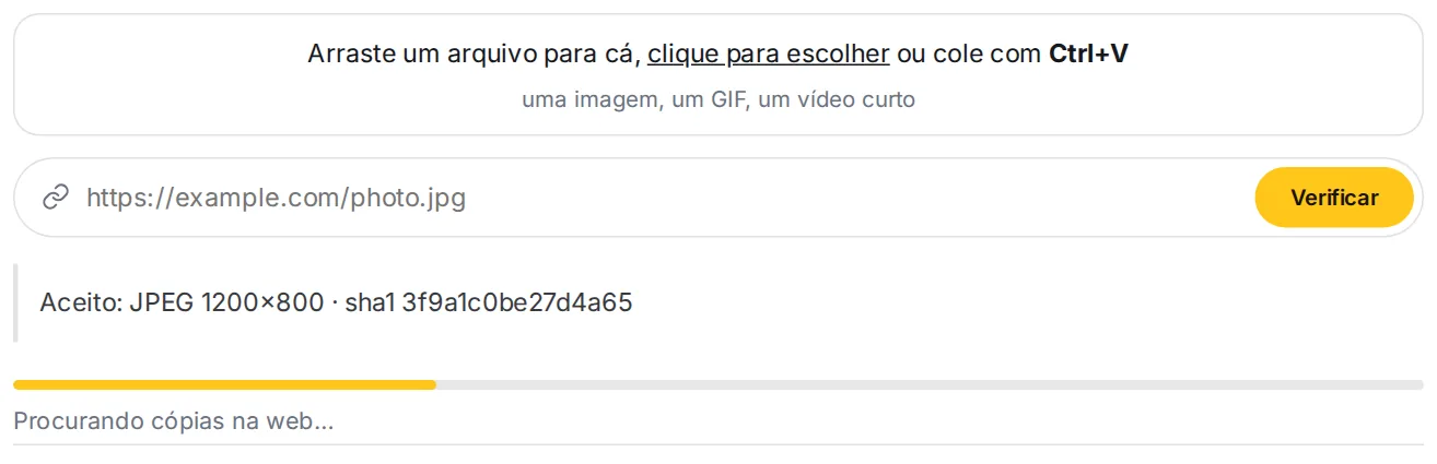 A barra de progresso durante a verificação