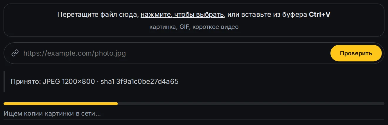 Полоса прогресса во время проверки