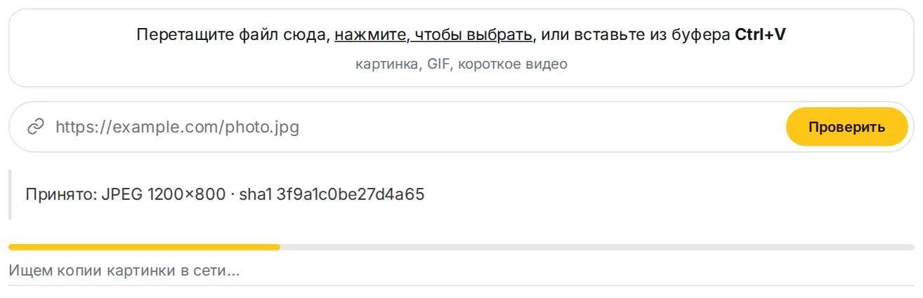 Полоса прогресса во время проверки