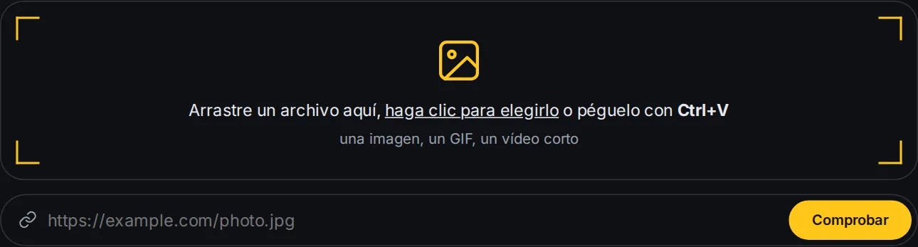 El formulario de carga